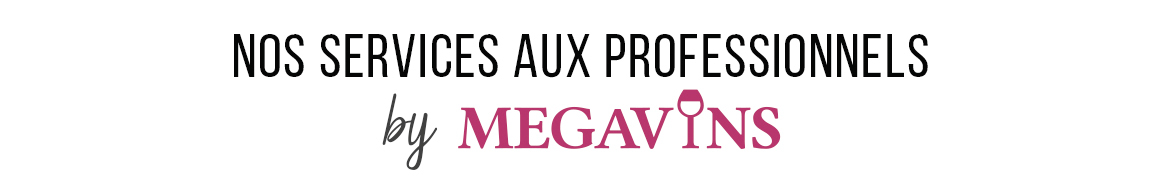 titre-nosservicesauxprofessionnelsbymega